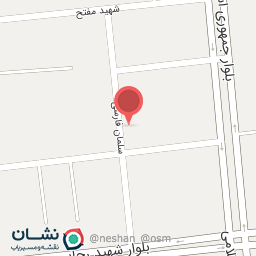 عکس پلیس + 10