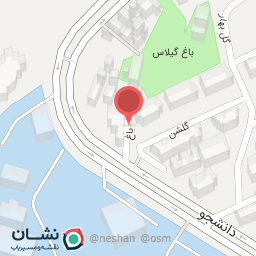 عکس تهیه غذای ناهارچی