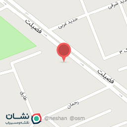 عکس آقای فلافل خانم برگر