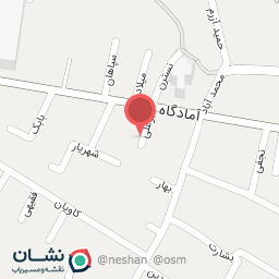عکس دکتر شیوا امینی