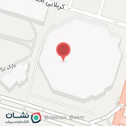 عکس کیف و کفش زنانه کفشدوزک