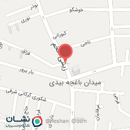 عکس رکورد کامپیوتر رضوان