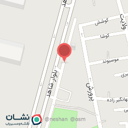 عکس لاستیک بهمن