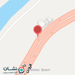 عکس زیتون مهدی جمشیدی