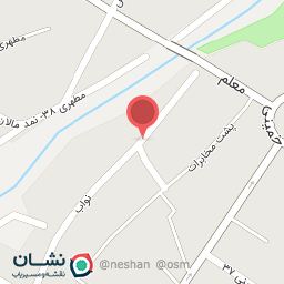 عکس کیف و کفش ایتالیا مد