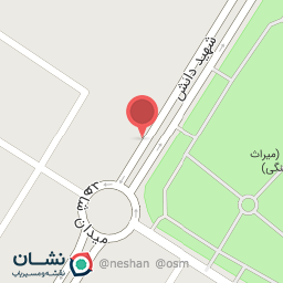 عکس رینگ و لاستیک مهدیان پور 1