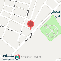 عکس کارواش بیژن 