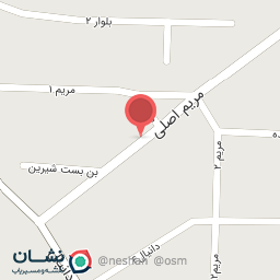 عکس ارزانسرای مبین داوودی