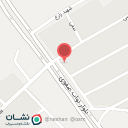 عکس برق خودرو زرنانی