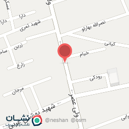 عکس کیف و کفش برکه