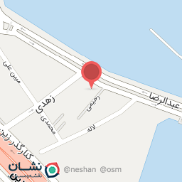 عکس پیتزا اریایی