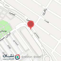 عکس فست فود 20