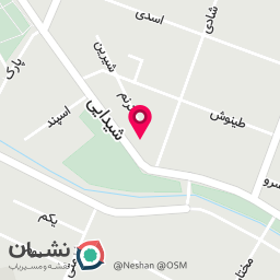 عکس سالم برگر