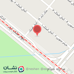 عکس دکتر علیه فقیهی فرد