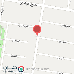 عکس فلافل بیروتی جزیره 