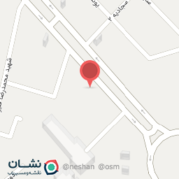 عکس اتو سرویس پویا