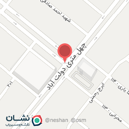 عکس فلافلی درنا با مدیرت مهدی