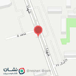 عکس کیف و کفش فلامینگو