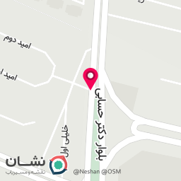 عکس نان پارمیس