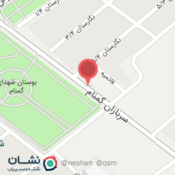 عکس فروشگاه نازگل 2