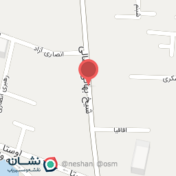 عکس پتروشیمی نیپنا