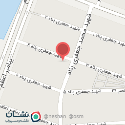 عکس مواد غذایی آمین