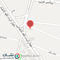 عکس تهیه غذای نیکا