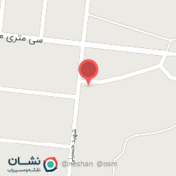 عکس پیتزا هایدا 