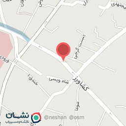 عکس مرغ بریان تاج محل