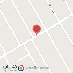 عکس کفش طبی فطرس