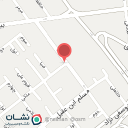 عکس فروشگاه خواروبار دلفین