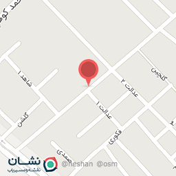 عکس اتو سرویس عباسی 