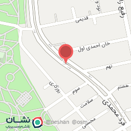 عکس مکانیکی پهلوانی