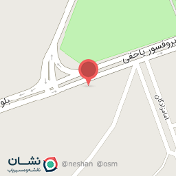 عکس تعمیرگاه اتومبیل علیرضا