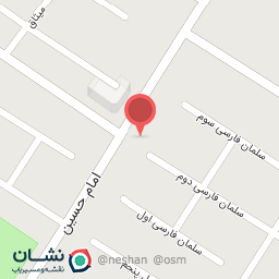 عکس پیتزا شمشک