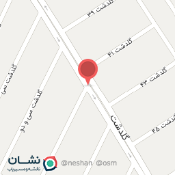 عکس تهیه غذا مجنون 