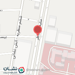 عکس تهیه غذای آی چین