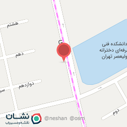 عکس طباخی شاخ طلا