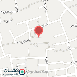 عکس کامپیوتر نخل بندرعباس