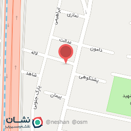 عکس ایرانیان صنعت پادیر ماندگار