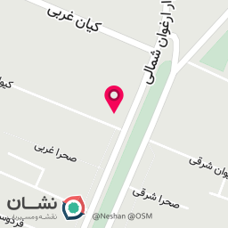 عکس شیک شو