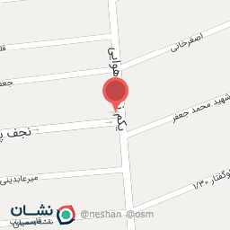 عکس پیتزا هیزم