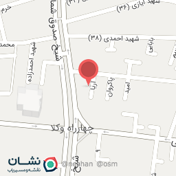 عکس همبرگر کامنو