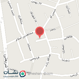 عکس هیئت انصار العباس 