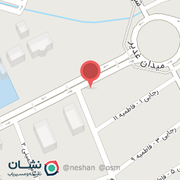 عکس فست فود چاق و لاغر