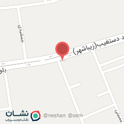 عکس غذای خانگی شیلان