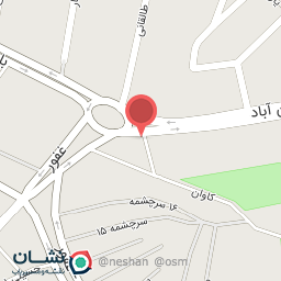 عکس لوازم تزئیناتی اتومبیل پدرام