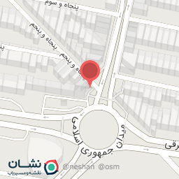 عکس جوجه پاچینی