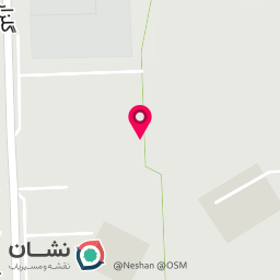عکس روانشناس دکتر مینو رزم پوش