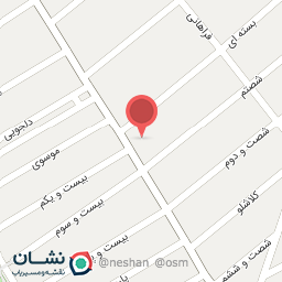 عکس پیتزا و فست فود تک